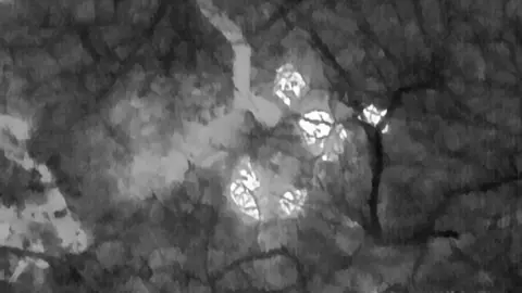 Kent Fire and Rescue Service The woman was rescued