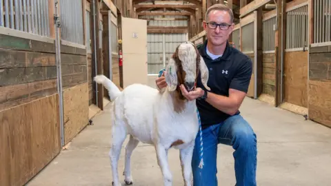 Robert Hubner, WSU Prof Jon Oatley with a gene-edited surrogate sire
