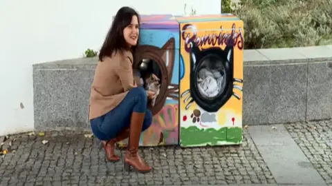 Correio da Manhã Washing-machine cat shelters, Monchique, Portugal, 2018