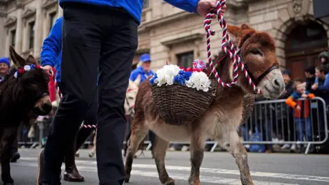 PA Media Donkeys with baskets of flowers walk down London's streets