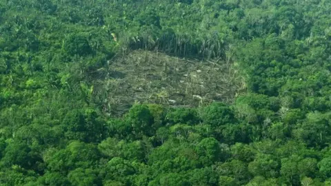 AFP Aerial view of deforestation in the Western Amazon region of Brazil on September 15, 2017.