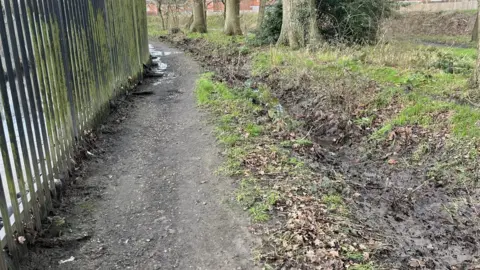 LISA SCOTT Footpath damaged by sewage in Horley