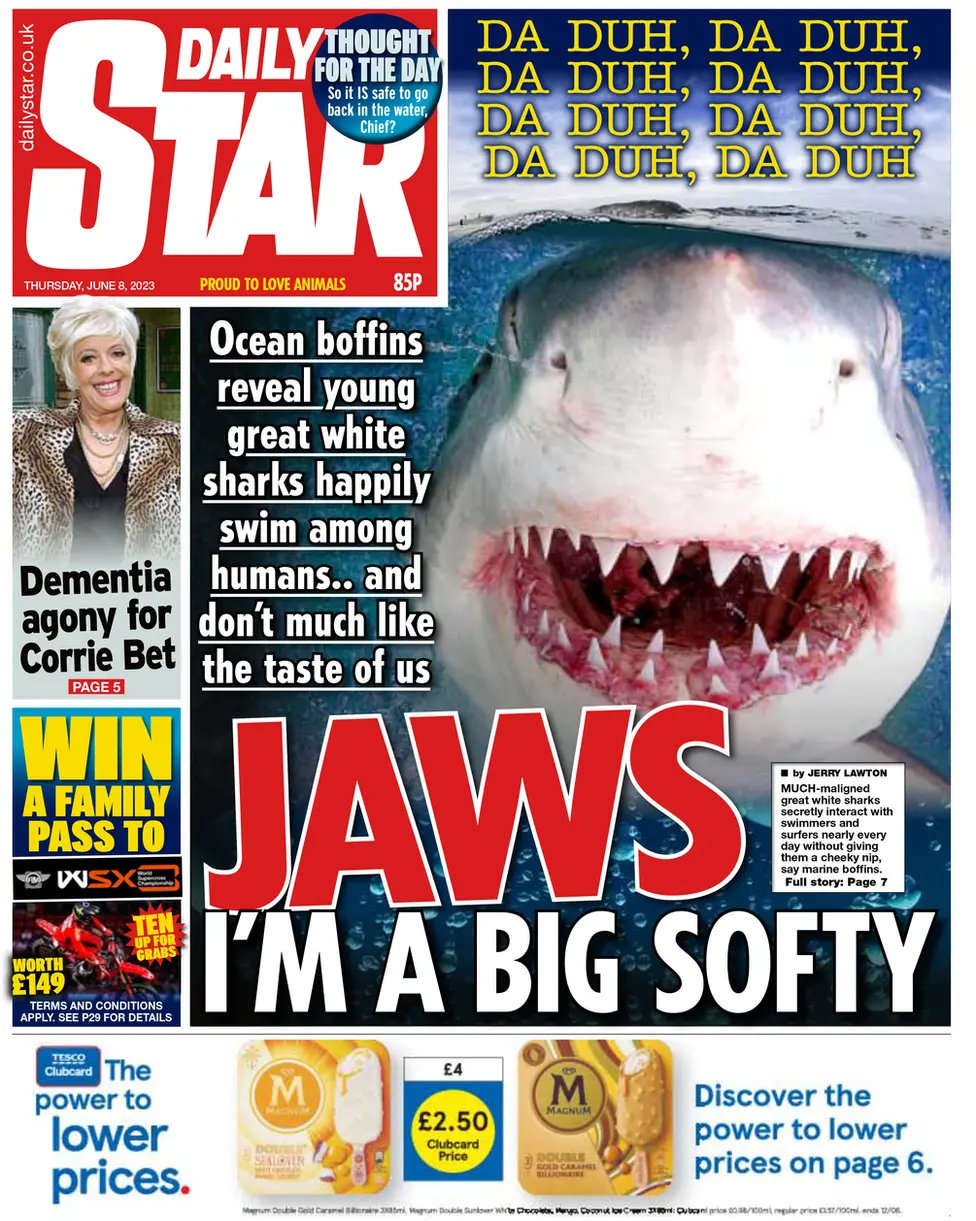 Daily Star front page