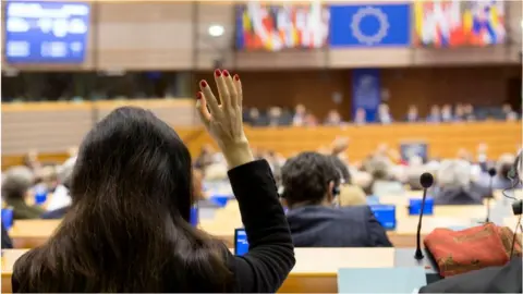 Getty Images Voting in the European Parliament