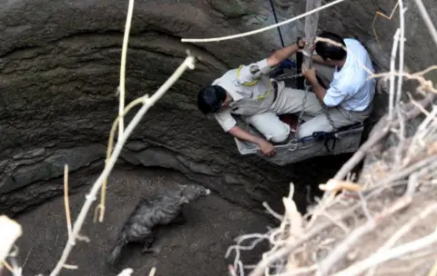 Anand Bora Forest officers rescue a hyena stuck in a well in 2013 in Nashik's Yevala village