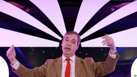 AFP Brexit Party leader Nigel Farage