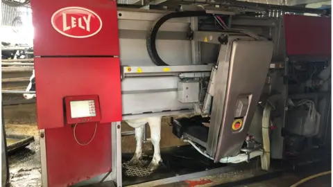 A robot milking machine