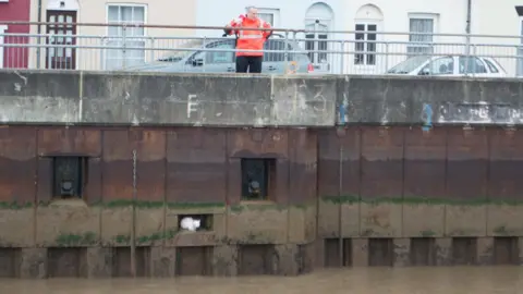 Oliver Bolton cat in a river wall