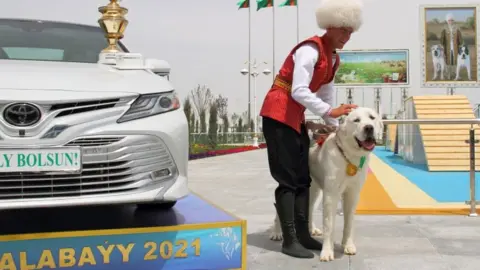 Reuters A handler pets a Turkmen shepherd dog