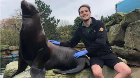 Chessington Jamie and Harley the Californian Sea Lion