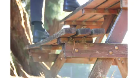 Benji Brew - photography Gold