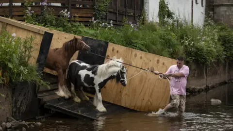 Dan Kitwood/Getty Images Horses are pulled into the River Eden to be washed during the annual Appleby Horse Fair