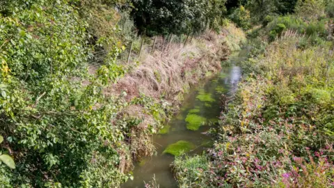 Scottish Parliament Pow