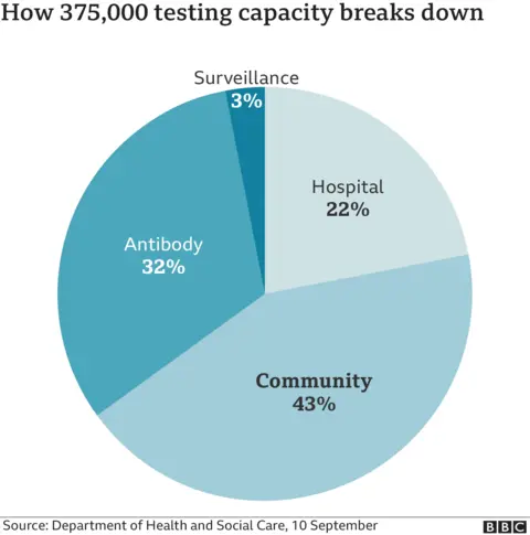 Pie chart showing testing capacity breakdown