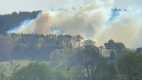 Andrew Coulton Grass fire