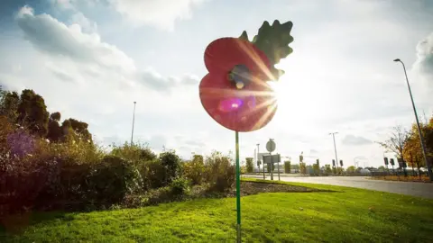 Bracknell Forest Council Roundabout poppies