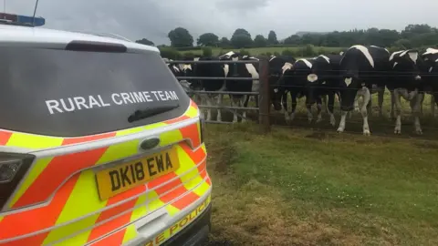 RSPCA Cheshire Police Rural Crime Team car next to field of cows