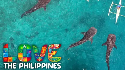 Facebook/Cebu Provincial Tourism Office A photo with the slogan 'Love The Philippines' on a picture of whale sharks near kayakers