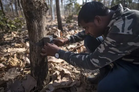 Pratik Chorge/Hindustan Times Camera traps for tigers