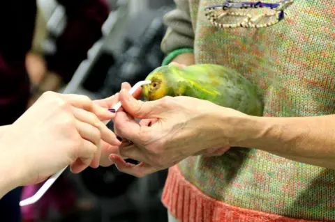 BBC Papaya abortion workshop