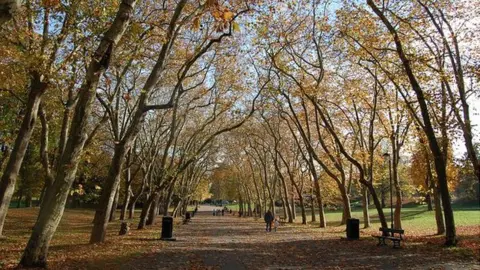 BBC Crystal Palace park (Image: BBC)