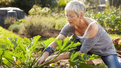 Getty Images Pensioner gardening