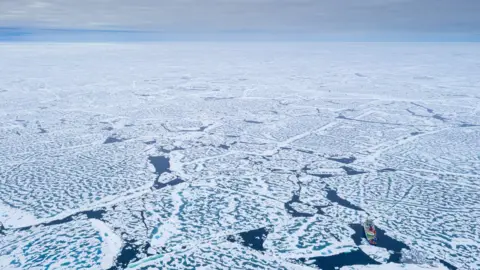 MOSAIC/AWI/Steffen Graupner Arctic sea-ice