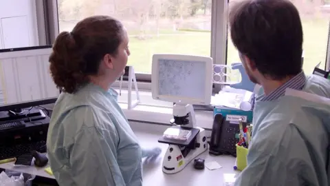 Other The researchers at work