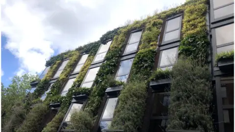 Christine Ro Green roofs and walls help to keep buildings cool