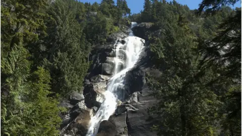 Design Pics Inc/REX/Shutterstock Shannon Falls
