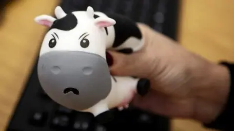 Boxer Gifts  Moody Cow stress ball