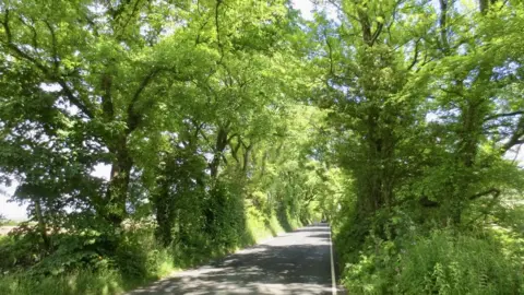 Trees on Braaid Road