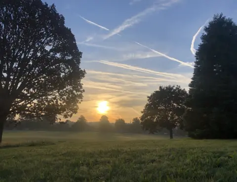 Helga Barna Sunset between trees in a park