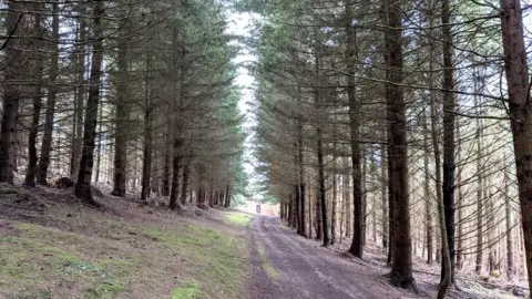 Fabian Musto Avenue to an Elan Valley Aqueduct in Herefordshire