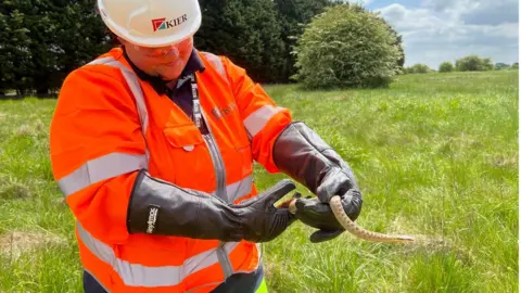 Natasha James, lead ecologist for Kier Construction with an adder