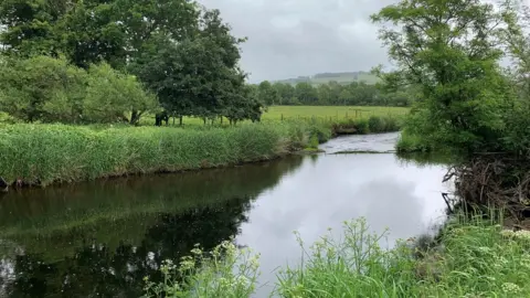 BBC river teifi near cwmann