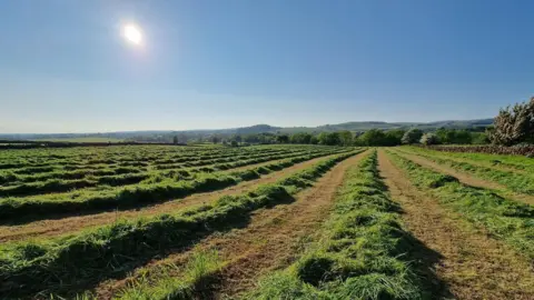 Braid View Brougshane