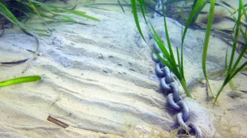 Neil Garrick-Maidment Chain on seabed