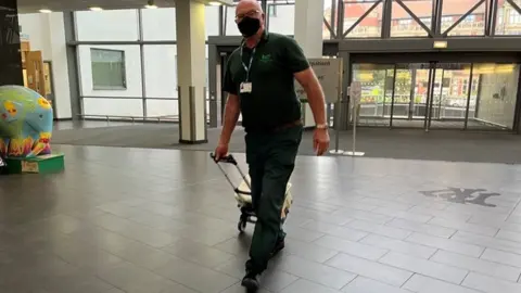 Bingham family Kidney