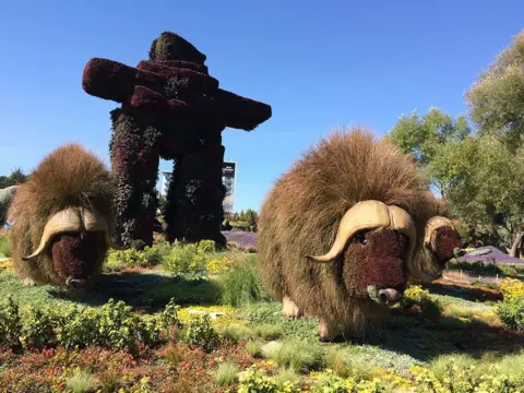 Claire Buske Anniversary garden