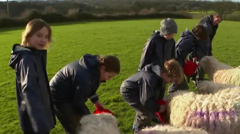 The picture shows a group of children standing in a green field on what looks like a farm. They are wearing matching waterproof jackets and trousers, with some also in woolly hats. Each child is holding a red bucket and appears to be feeding a small flock of sheep gathered closely around them. The sheep have thick wool, some marked with coloured spray along their backs.