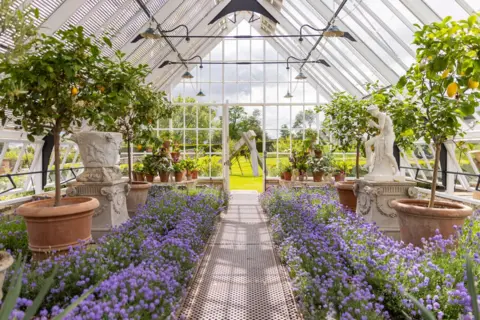 Duncan Mcmillan A glasshouse with lemon trees in terracotta containers and purple flowers lining a pathway to a garden
