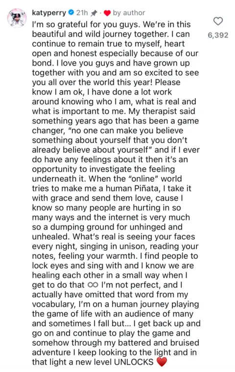 Katy Perry / Instagram Katy Perry’s statement