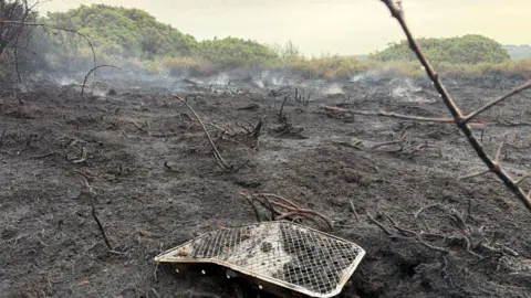 The disposable barbecue, at the bottom of the frame, is surrounded by a sweeping expanse of scorched earth and the skeletal sticks of burnt plants. In the distance, smoke still rises from the edges of the wildfire, with dense shrubbery beyond.