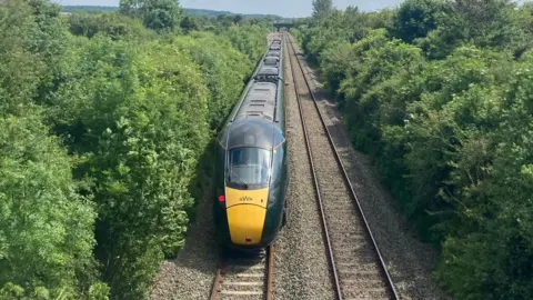 Daniel Mumby Image of a GWR train moving on the track with green bushes either side. 