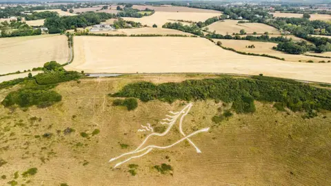 Getty Images A white horse carving on the side of a hill, seen from above. It is surrounded by parched countryside.