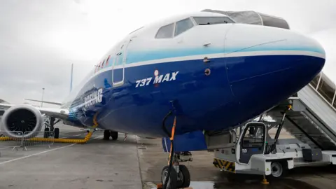 Boeing 737 Max on display at the International Paris Air Show.