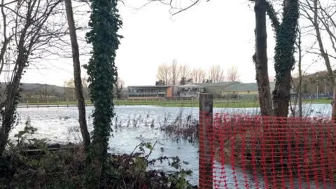 Floodwater on a large patch of grass, pictured from a view behind some trees and a red paper mesh fence.