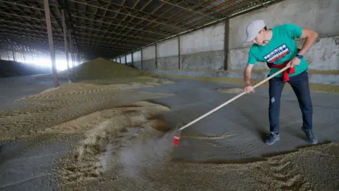 STR/EPA A Ukrainian farmer mixes barley grain at a magazine after harvest in Odesa area, Ukraine, 22 June 2022