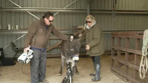 Osteopath Tony Nevin and Tommy the donkey with a woman